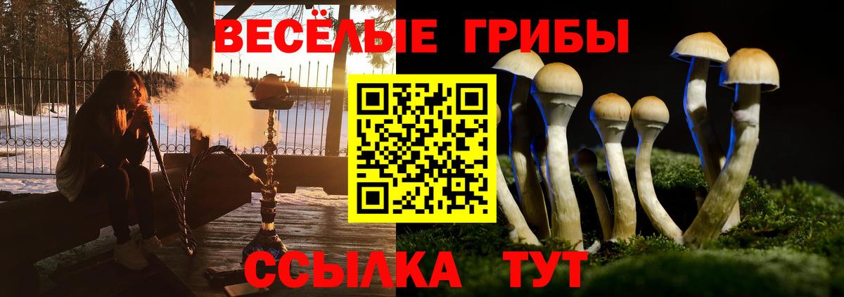 Псилоцибиновые грибы Cubensis  Псилоцибиновые грибы Cubensis  Вход с VPN  Элиста 