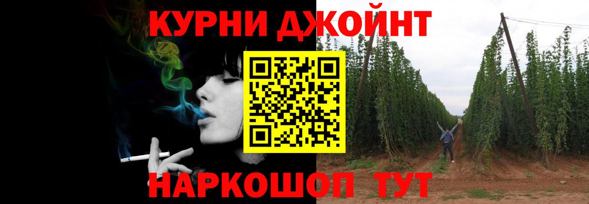 Каннабис VHQ  Канабис Ganja  Вход с VPN  Элиста 
